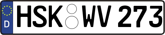 HSK-WV273