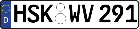 HSK-WV291
