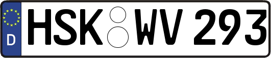 HSK-WV293
