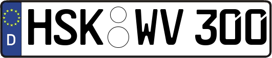 HSK-WV300