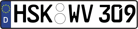 HSK-WV309