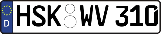 HSK-WV310
