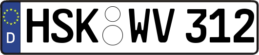 HSK-WV312