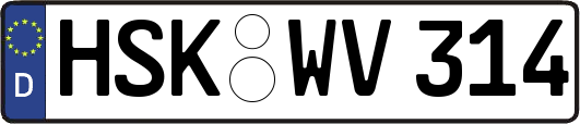 HSK-WV314