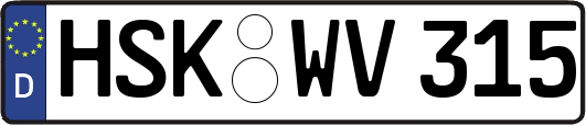 HSK-WV315
