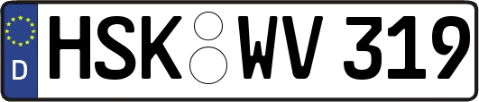 HSK-WV319