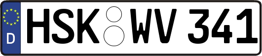 HSK-WV341