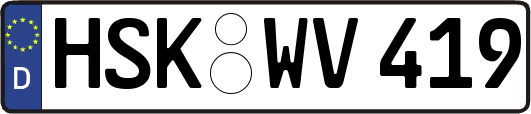 HSK-WV419