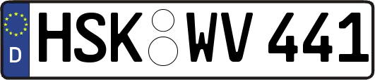 HSK-WV441