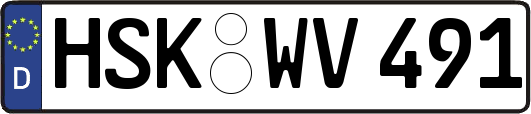 HSK-WV491