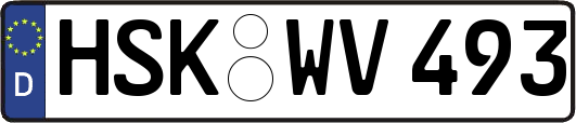 HSK-WV493