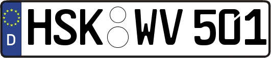 HSK-WV501