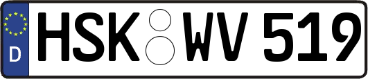 HSK-WV519