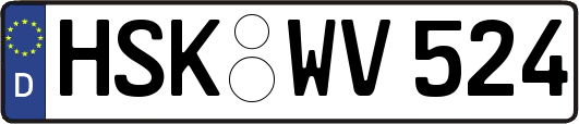 HSK-WV524
