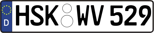 HSK-WV529