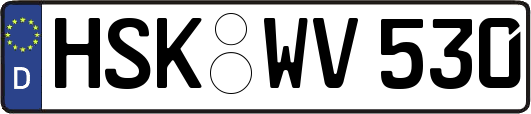 HSK-WV530