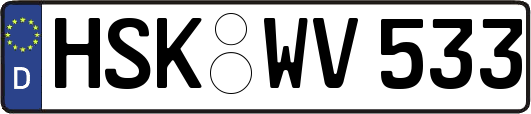 HSK-WV533