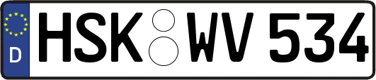 HSK-WV534