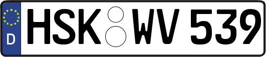 HSK-WV539