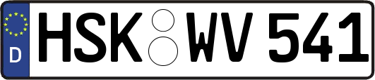HSK-WV541