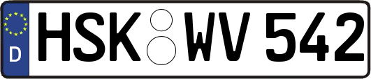 HSK-WV542