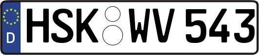 HSK-WV543