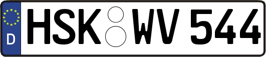HSK-WV544