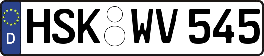HSK-WV545