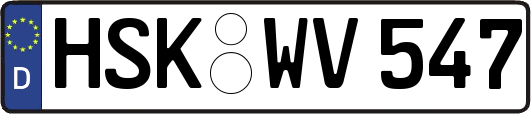 HSK-WV547