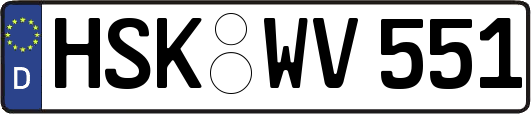 HSK-WV551