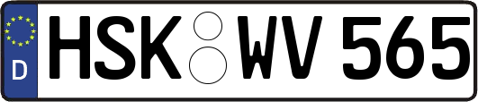 HSK-WV565