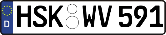 HSK-WV591