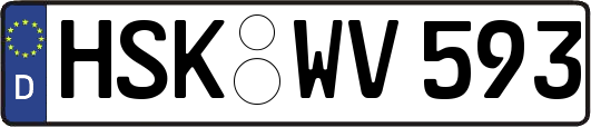 HSK-WV593