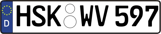 HSK-WV597
