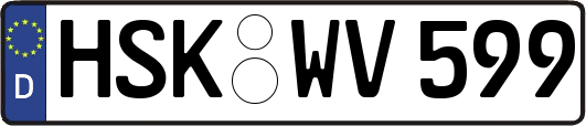 HSK-WV599