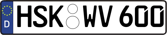 HSK-WV600