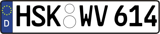 HSK-WV614