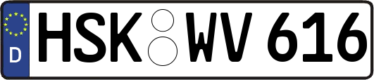 HSK-WV616