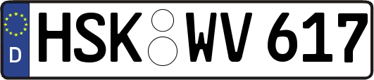HSK-WV617