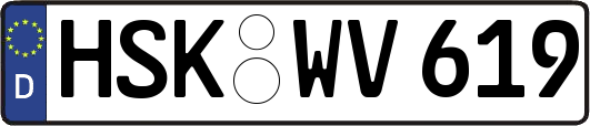 HSK-WV619