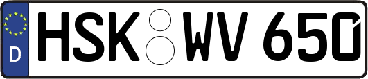 HSK-WV650