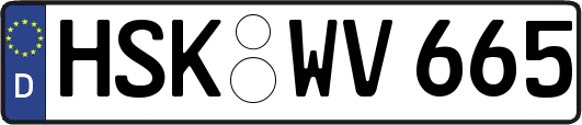 HSK-WV665