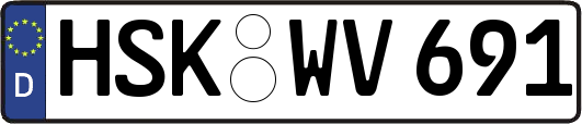 HSK-WV691