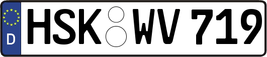 HSK-WV719