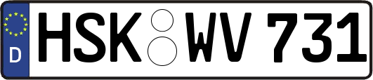 HSK-WV731