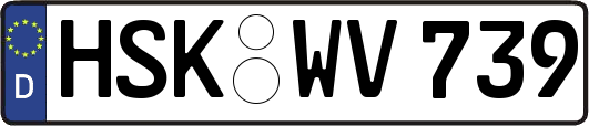 HSK-WV739