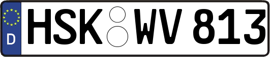 HSK-WV813