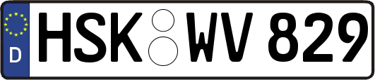 HSK-WV829