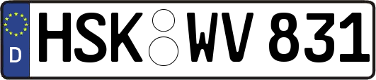 HSK-WV831