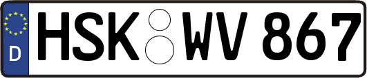 HSK-WV867